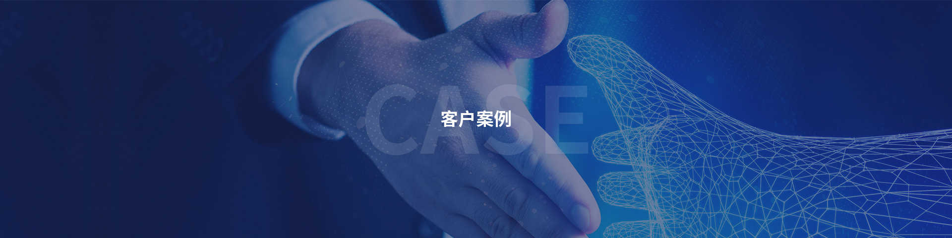 項目案例